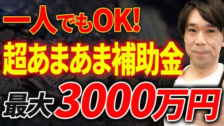 【やらなきゃ損！】一人でもOK！最大3000万円以上もらえる超ゆるゆるの補助金について税理士が解説します