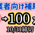 事業者向け補助金・最大１００万円・申請は10月31日まで（2024年度最終回）エイジフレンドリー補助金【中小企業診断士YouTuber マキノヤ先生】第1899回