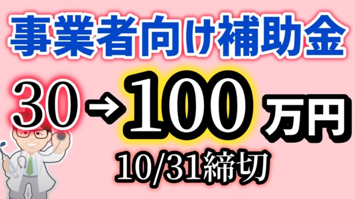 事業者向け補助金・最大１００万円・申請は10月31日まで（2024年度最終回）エイジフレンドリー補助金【中小企業診断士YouTuber マキノヤ先生】第1899回