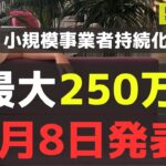 【仰天】小規模事業者持続化補助金の16回の採択発表あり。15回までの結果と顕著な差。