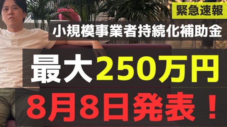 【仰天】小規模事業者持続化補助金の16回の採択発表あり。15回までの結果と顕著な差。