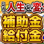 【これで人生を変える!! 補助金・給付金】最大200万円/ 移住支援金＋子育て加算/ 新規就農者支援 / 新規漁業就業者支援/ 空き家・空き店舗活用支援/ 厚労省支援策/ 詐欺注意〈24年8月時点〉