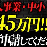 【必見】まさかの個人事業主・中小でも945万円貰えます！この動画を見たら今すぐ準備してください！