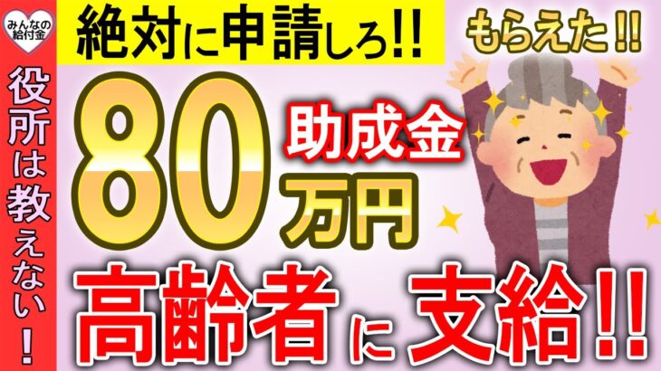 【2024年9月最新情報】政府から高齢者へ80万円支給！申請したらもらえる制度！【敬老パス/年金生活者支援給付金/補聴器購入補助制度】