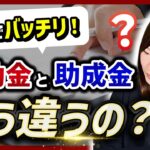 【補助金・助成金】補助金と助成金って何が違うの?【3つのポイント】