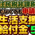 【生活支援・給付金 5選：住民税非課税でなくても申請可能】秋の新たな給付金の見通し/ 各自治体の商品券や給付金等/ 国民健康保険料の減免/ 国民年金保険料の免除・猶予/ 求職者支援制度等≪24年9月≫