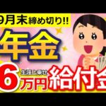 【知らないと損！】申請で一生年金に6万円上乗せ！年金生活者支援給付金は今すぐ絶対に申請して！【老齢年金/遺族年金/障害年金】