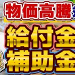 【9月度 物価高騰 給付金・補助金まとめ】最大200万円等/ 電気代・水道光熱費の補助金/ 商工事業者への燃料費 補助/ 個人事業主・小規模向け/ タクシー事業者対象LPガス補助等〈24年9月時点〉