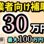 締切３０万円１００万円・厚生労働省の事業者向け健康促進補助金・個人事業主・中小企業対象・エイジフレンドリー補助金【中小企業診断士YouTuber マキノヤ先生】第1932回