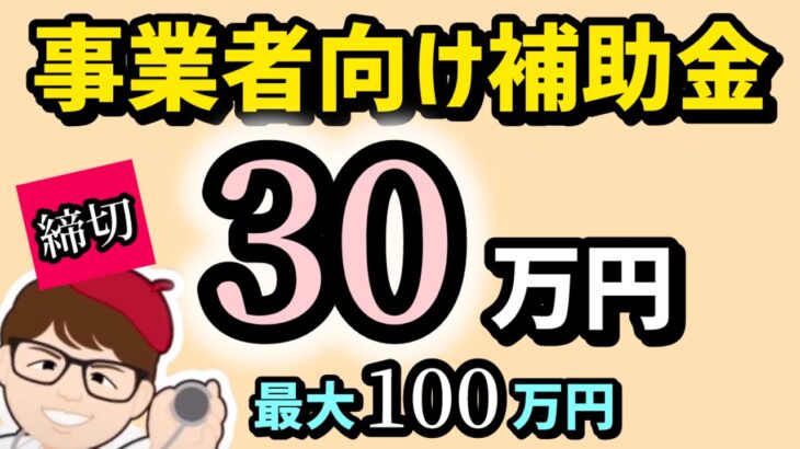 締切３０万円１００万円・厚生労働省の事業者向け健康促進補助金・個人事業主・中小企業対象・エイジフレンドリー補助金【中小企業診断士YouTuber マキノヤ先生】第1932回