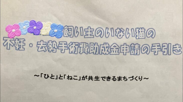 《野良保護猫から家猫へ》不妊　去勢手術費助成金申請へ行ってきました！