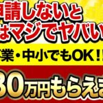 【まだ間に合う】今、この制度を使わない企業・個人事業主はマジでヤバいです！必ずこの補助金を申請してください！