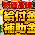 【10月度 物価高騰 給付金・補助金まとめ】今後の給付・還元/ 原油・LPガス・電気の補助金/ 賃上げ奨励金/ 個人事業主・小規模向け/ 特別高圧電力補助額10～1,000万円 等〈24年10月時点〉