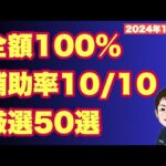 【2024年10月】 補助率10/10全額100%支給補助金・支援金 厳選50選