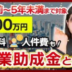 【補助金】最大400万円！人件費や賃料も対象になる東京都の【創業助成金】