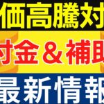 【物価高騰 給付金・補助金】最大8万円等:1人3万円給付金 : 電気料金補助等〈2024年10月2日時点〉