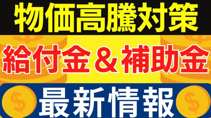 【物価高騰 給付金・補助金】最大8万円等:1人3万円給付金 : 電気料金補助等〈2024年10月2日時点〉