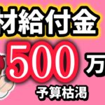 予算終了間近・人材給付金１人５００万円・２００万円・地域企業経営人材確保支援事業給付金・REVICareer（レビキャリ）・副業・兼業人材支援制度【中小企業診断士 マキノヤ先生】第1955回