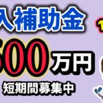 ５００万円・まもなく本年度最終締切・受入環境整備促進事業補助金・観光地・観光産業における人材不足対策事業【中小企業診断士YouTuber マキノヤ先生】第1951回