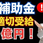 【ショック！ＩＴ導入補助金】10億円も不正申請！？今後どうなる？