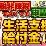 【住民税非課税でなくても申請可能：11月度 生活支援・給付金 5選】困窮者支援と家賃補助/ 国民健康保険料と国民年金の減免/ 求職者支援制度 月10万円/ 生活保護の不正受給 等 ≪24年11月≫