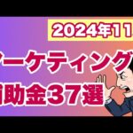 【2024年11月】販路開拓・マーケティング補助金全国37選