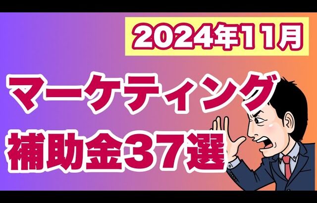 【2024年11月】販路開拓・マーケティング補助金全国37選