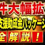 【拡充ポイントを解説！】賃上げ支援助成金2025年版を徹底解説します！