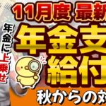 【手続が必要です!! 新たな対象者の方】年金に上乗せ給付金/ 障害・遺族年金給付金/ 給付金額（月額）チェック/ 請求手続き方法/ 補足給付とは/ 厚労省支援/ 詐欺に注意 等〈24年11月時点〉