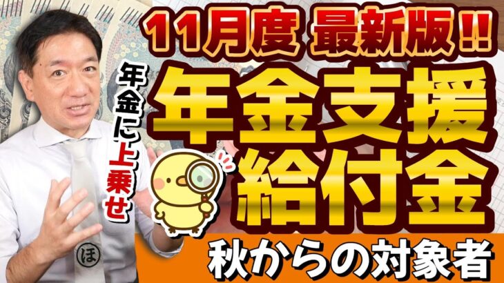 【手続が必要です!! 新たな対象者の方】年金に上乗せ給付金/ 障害・遺族年金給付金/ 給付金額（月額）チェック/ 請求手続き方法/ 補足給付とは/ 厚労省支援/ 詐欺に注意 等〈24年11月時点〉