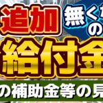 【追加給付金 無くなるのか？】給付金に関する最新情報/ 総合経済・物価高対策、政権の枠組みに左右か/ 自公国3党の部分連合/ その他補助金の見通し/ 厚労省支援/ 詐欺注意等〈R6年11/7 時点〉