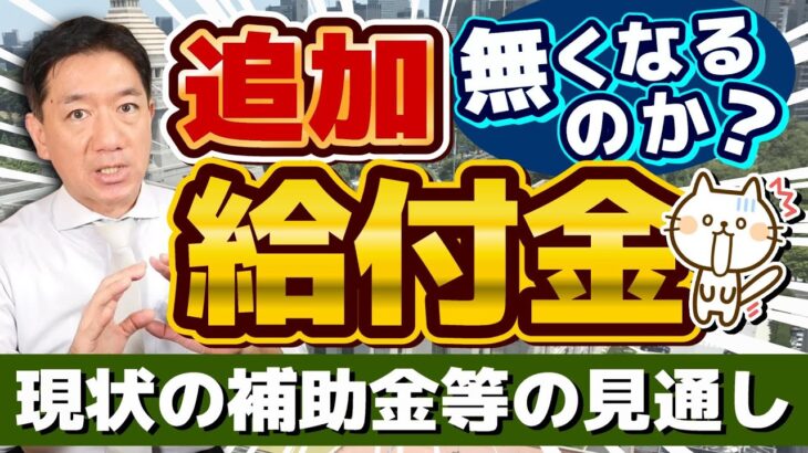 【追加給付金 無くなるのか？】給付金に関する最新情報/ 総合経済・物価高対策、政権の枠組みに左右か/ 自公国3党の部分連合/ その他補助金の見通し/ 厚労省支援/ 詐欺注意等〈R6年11/7 時点〉