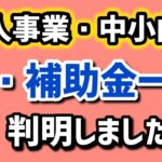 個人事業・中小企業向け補助金・これから始まる補助金制度の名称・情報が判明・小規模事業者持続化補助金・ものづくり補助金・IT導入補助金・事業承継引継ぎ補助金【中小企業診断士マキノヤ先生】第1972回