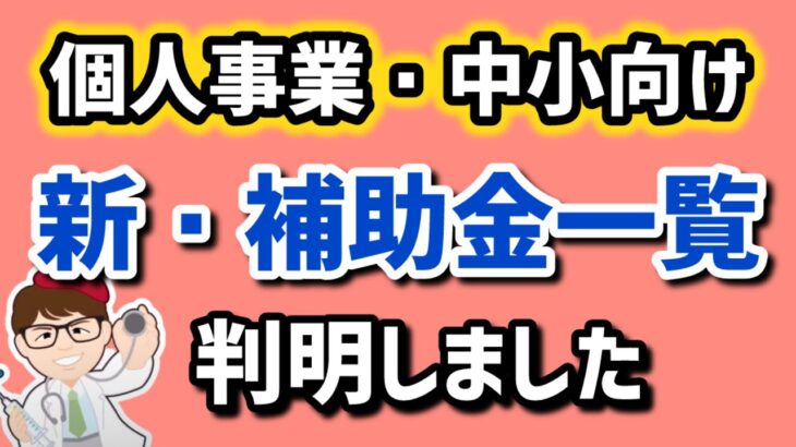 個人事業・中小企業向け補助金・これから始まる補助金制度の名称・情報が判明・小規模事業者持続化補助金・ものづくり補助金・IT導入補助金・事業承継引継ぎ補助金【中小企業診断士マキノヤ先生】第1972回