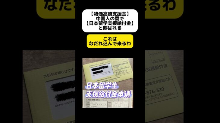 【は？】物価高騰支援金を日本留学支援給付金と呼ぶ中国人の方達 #shorts