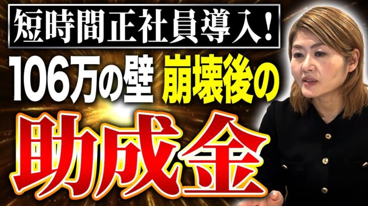 106万の壁が崩壊後にオススメしたい助成金を紹介します！