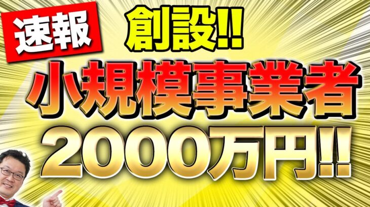 【速報】まさかの個人事業・中小でも2000万円貰える最大のチャンス！この動画を見たらすぐに準備してください！