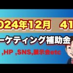 【2024年12月】 マーケティング・販路開拓補助金41選