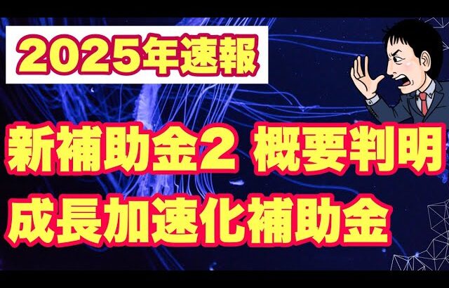 【2025年新補助金】激アツ成長加速化補助金！新情報判明しました