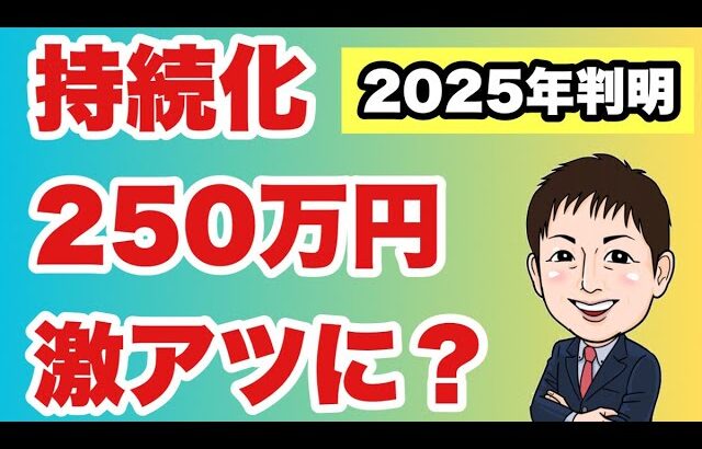 【2025年激アツ持続化補助金】金額・枠・概要新情報判明。50~5000万円！？