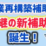 新・事業再構築補助金の後継補助金・新事業進出補助金 ・補助金バブル継続中・補正予算中小企業・個人事業主対象【中小企業診断士YouTuber マキノヤ先生】第1994回