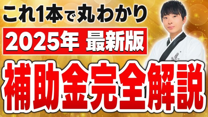 【あなたがもらう補助金はこれ】2025年の補助金を採択額10億円超の専門家が完全解説します