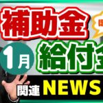 【給付金・補助金 ニュース５選】年金・給付金の増額/ 特例貸付、返済免除の申請/ 経営コンサルの倒産、過去最多/ 生活保護の不正受給/ 自治体の結婚応援事業/ 詐欺注意など （25年1月時点）