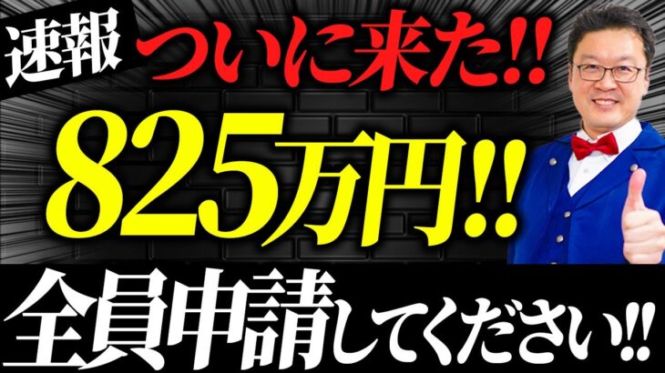 【速報】やらなきゃ大損！！個人事業・中小でも825万円貰える「究極の補助金」は必ず申請してください！！