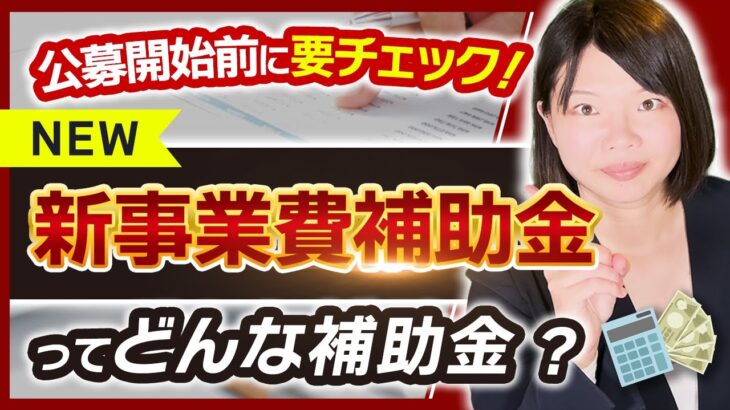 【新事業費補助金】事業再構築補助金の後継と言われている補助金の概要が発表されました