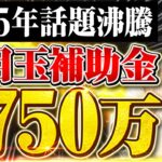 【2025年新登場】事業再構築補助金の後継となる新事業進出補助金を個人事業主・小規模事業者向けに中小企業診断士が徹底解説！