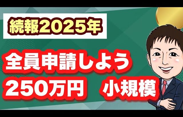 【続報2025年】8割の企業が対象になる！？最大250万円の持続化補助金