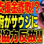 【海外の反応】隣国が●億の支援金をネコババ！？ｋ国政府の汚い遅延作戦にサウジは…【総集編】