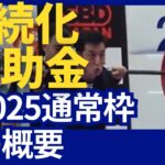 持続化補助金2025（17次通常枠）