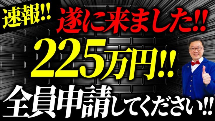 【速報】小規模事業者でも225万円貰える大チャンス！この動画を見たら今すぐ申請してください！